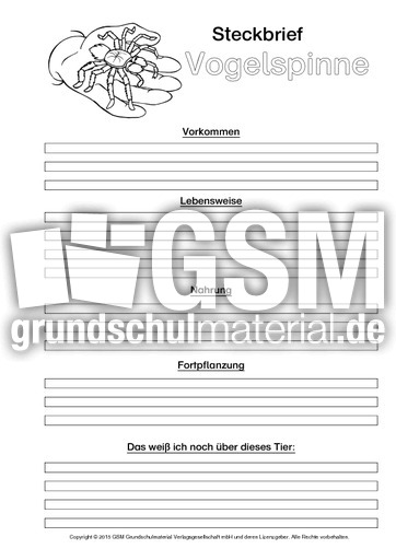 Vogelspinne-Steckbriefvorlage-sw.pdf